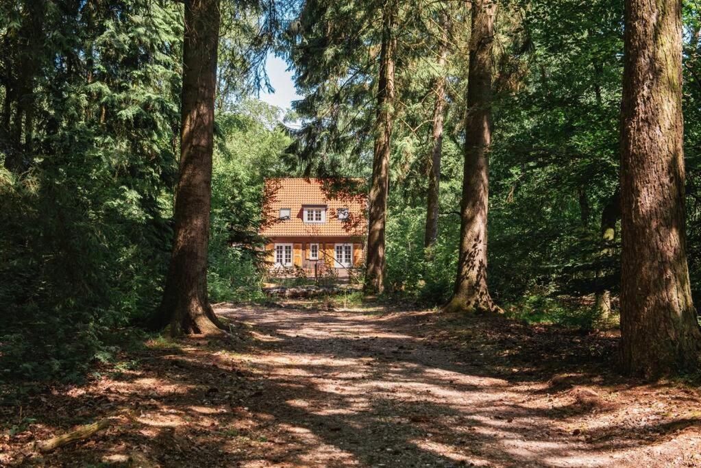 Fantastisch Familiehuis Met Grote Tuin I Bosrijk Lunteren Exterior photo